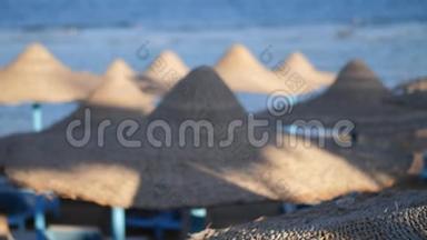 埃及，海滩与伞在红海附近的珊瑚礁。 红海海岸度假村.. 落基海滩在海湾。 海岸线